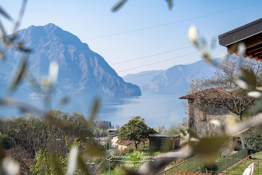 Apartament Il Giardino Di Laura Costa Volpino Zewnętrze zdjęcie
